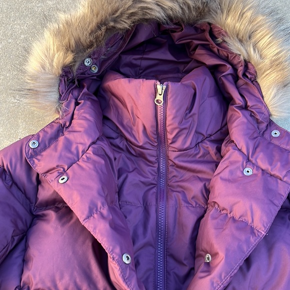 NWT The North Face Women's New Dealio Down Short Puffer Jacket - BlackBerry Wine - Picture 3 of 8